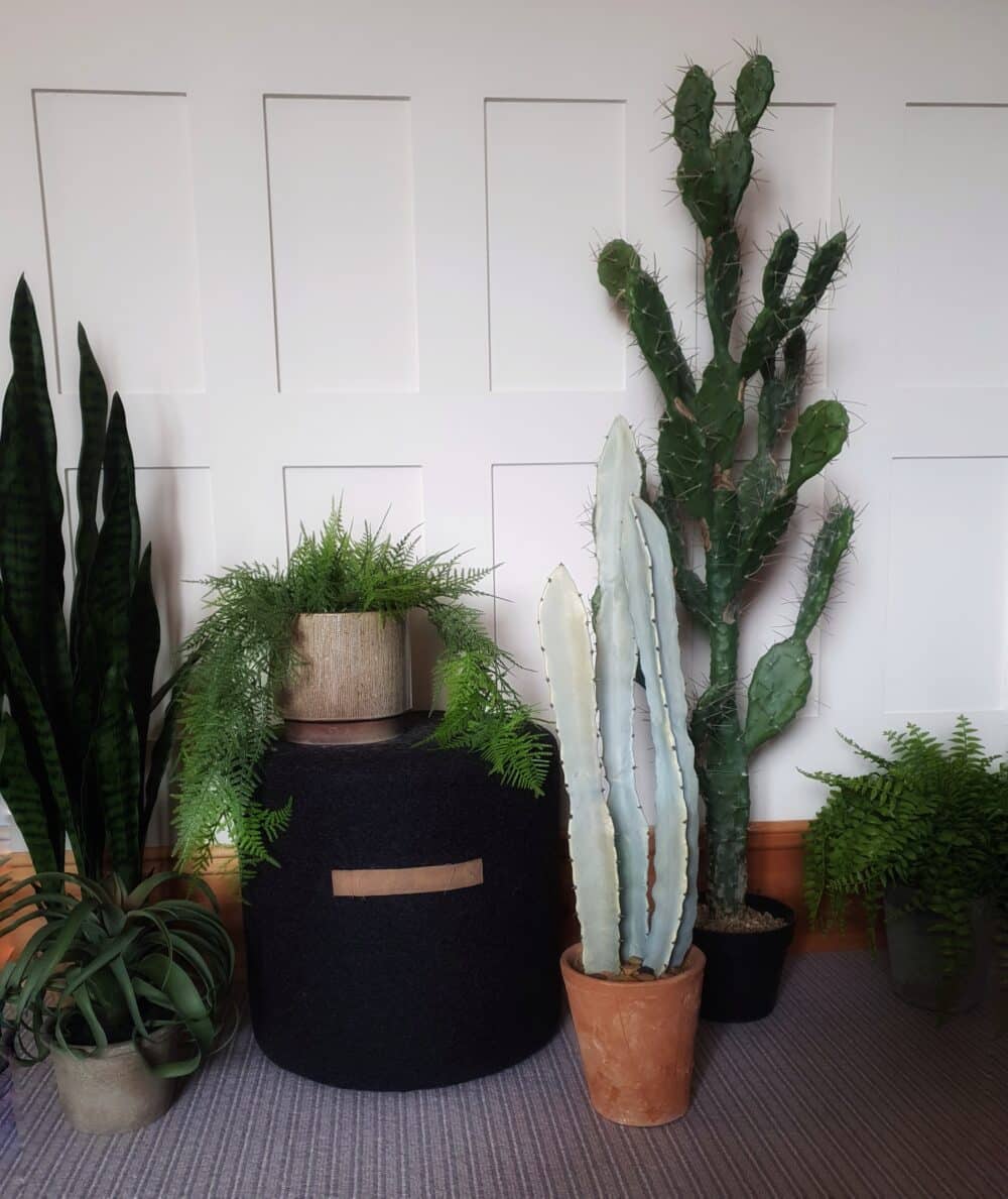 totem cactus