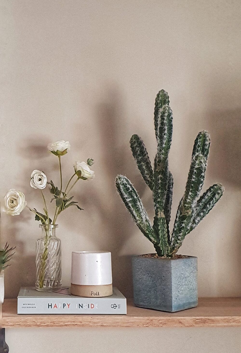 faux cactus in pot