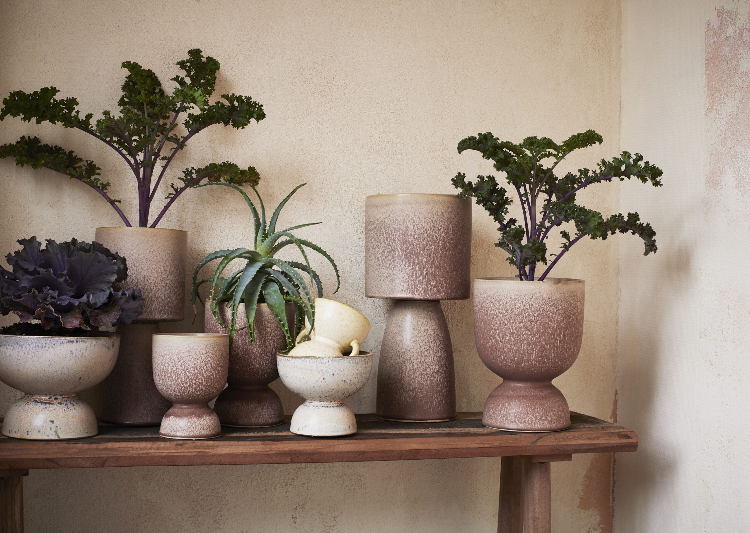 Shaped ceramic plant pot