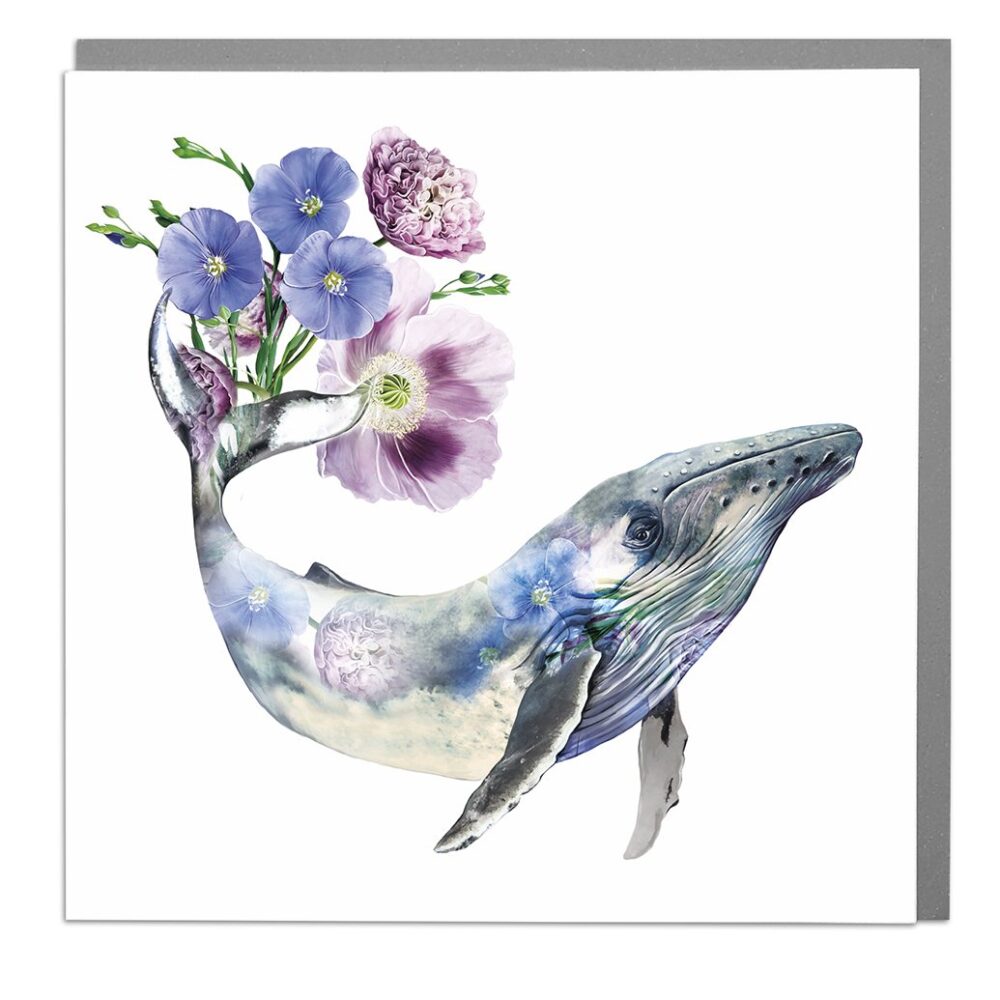 Humpback Whale Card