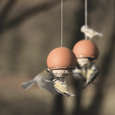 Birdball Belle Bird Feeder - Terracotta