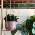 Oval hanging pot
